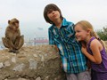 At Ape's Den, near Charles' Wall, there was a whole bunch of macaques enjoying the company of tourists.