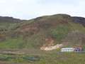 The simple, spartan buildings in Iceland were generally as brightly colored as the flowers.