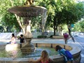 It is so hot in the Retiro. Seeking relief in t he fountain water.