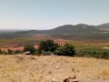 The sparse agricultural lands of La Mancha near Puerto Lapice.