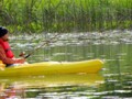 Fishing in the 