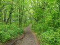 The path to Mount Baldy beach in Indiana Dunes National Lakeshore.