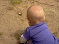 Are butterflies edible? There is only one way to find out.