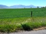 Driving up Paradise Valley from Livingston, Montana.