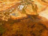 Runoff from the Mammoth Springs. The color comes from microbes.