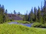 This is the Gardiner River, near Sheepeater's Cliff, perfect bear habitat.