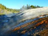 The source of the Firehole River is boiling runoff from the geysers.