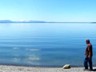 The north shore of Yellowstone Lake, the cauldera of America's biggest volcano.