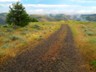 The Oregon Trail in Emigrant Springs State Park, Oregon.