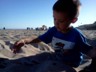 All the Sandrews in California.