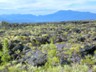 Craters of the Moon National Park and Preserve near Arco, ID.