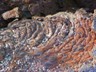 The last eruption at Craters happened 2,000 years ago, but you can still see the flow.