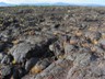 Life is barely able to hang on in this volcanic graveyard.
