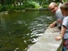 We helped the hatchery feed its younger fish.