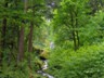 West of Bonneville, the Columbia is fed by little creeks and waterfalls.