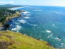 After our cruise we wandered around the high coasts looking for whales via minivan.