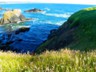 The Mendocino coastline along the winding CA-1.