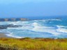 A scene along the wild Big Sur coast, which was a blast to drive.