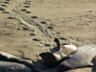 They were relaxing and enjoying the sun.