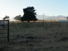 Part of Hearst's estate at San Simeon.