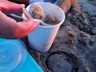 As night fell, we grabbed some steamed clams at Otter Rock and sat in the sand.