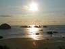 Sunset at a beach wayside near Cape Arago.