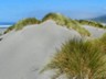 Pistol River Dunes