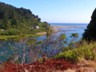 The Mendocino coast fromthe furiously winding CA-1.