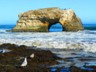 We enjoyed the temporary warmth at Natural Bridges Beach in Santa Cruz.