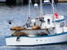 I would hate to have to clean that boat.