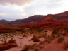 The Virgin River Gorge, where we spotted some fowl in the dried riverbed.