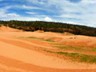 The Coral sands were extemely hot to the touch.