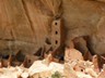 The Anasazi ruins at Mesa Verde.