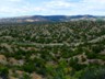 The desert along the High Road to Taos.