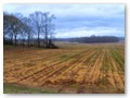 A beautiful spring field along the Natchez Trace southwest of Jackson, MS.