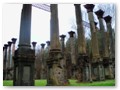 The Windsor Ruins near Arcola, MS, is all that remains of a stately antebellum mansion.