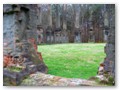 The ruins are quiet and overgrown with clover.