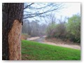 Where Coles Creek and the Trace meet is a nice place to rest.