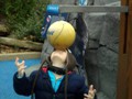 There were no lines at the seal exhibit since it was about 35 degrees.