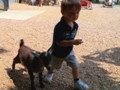 Andrew met a few new friends at the zoo.