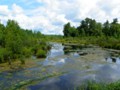 A creek near St. Germaine where we spotted a pair of wading eagles.