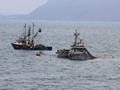 The fishing fleet near Playa Saldamando.