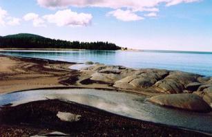 NEYS2.JPG (12340 bytes)